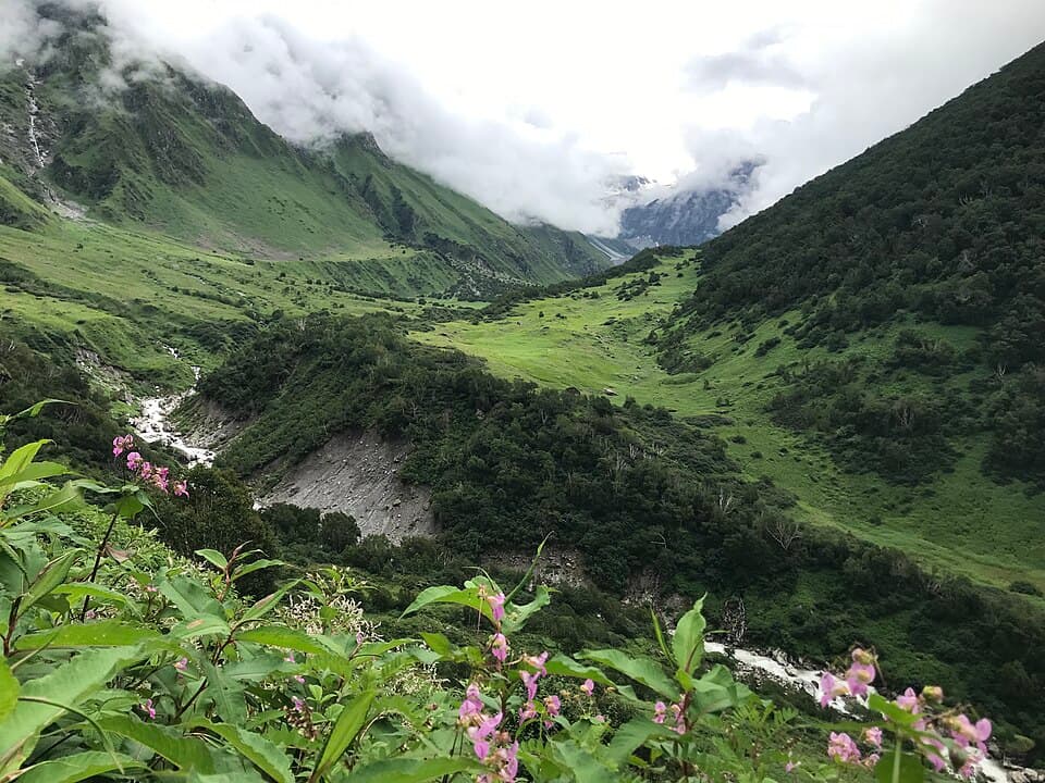 Valley of Flowers