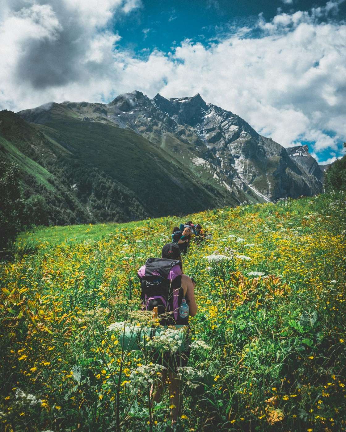 Trekkers with loaded backpacks walking through alpine wildflower meadow with mountains